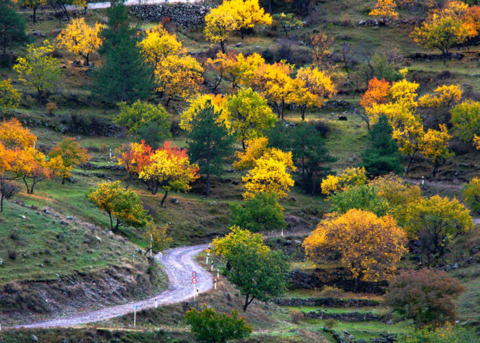 At Vaerdzia - Photography Tour in Georgia