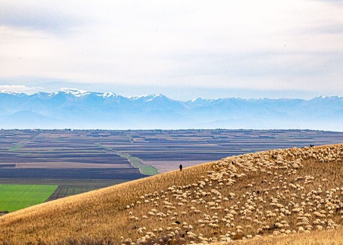 view to Caucasus - Horse Riding in Washlowani
