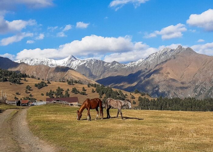 Diklo - Horse Riding in Tusheti