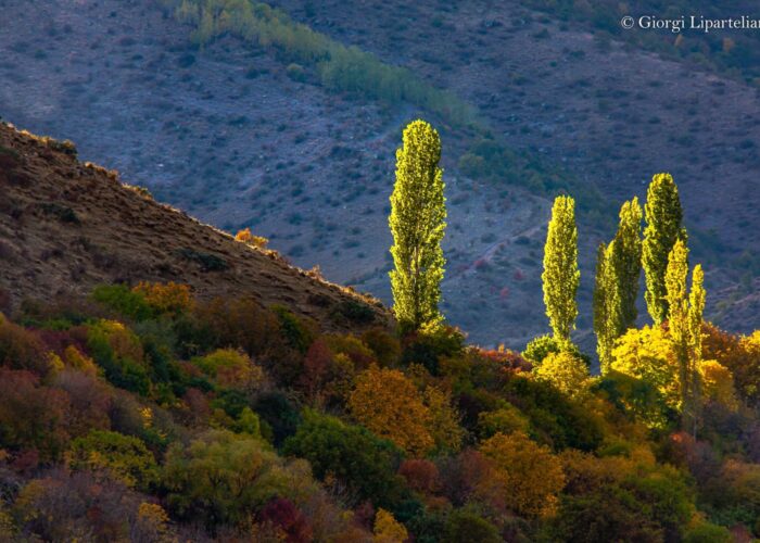Photography Tour in Georgia