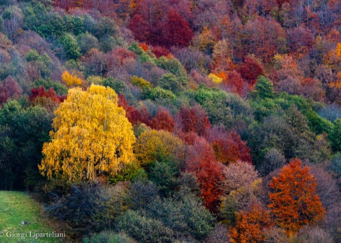 Photography Tour in Georgia