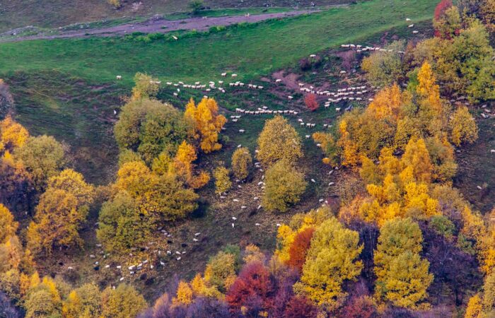 Photography Tour in Georgia