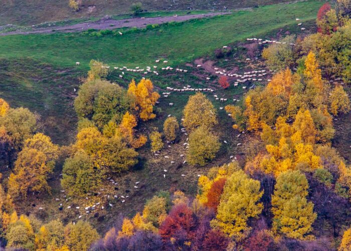 Photography Tour in Georgia