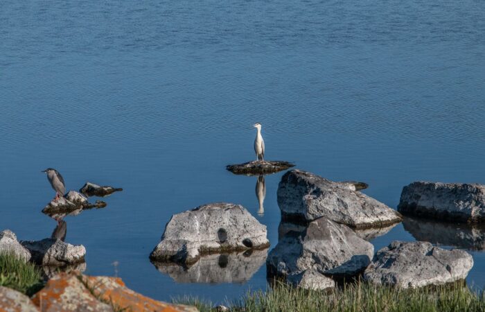 Photo Tour in Georgia - Javakheti NP