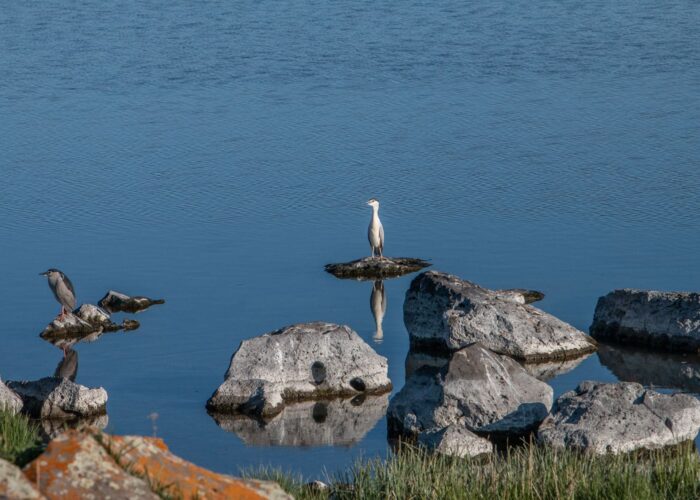 Photo Tour in Georgia - Javakheti NP