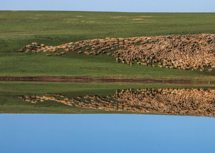 Photo Tour in Georgia - Gareja