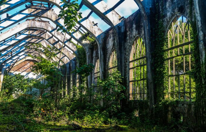 Photo Tour in Georgia