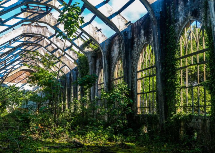 Photo Tour in Georgia