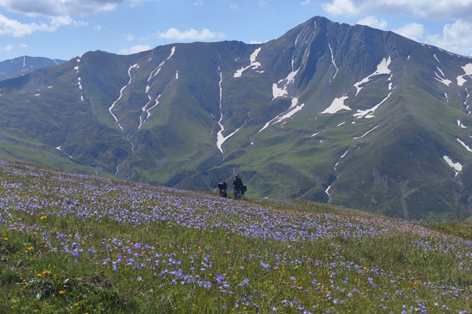 Wandern von Chewsuretien nach Omalo