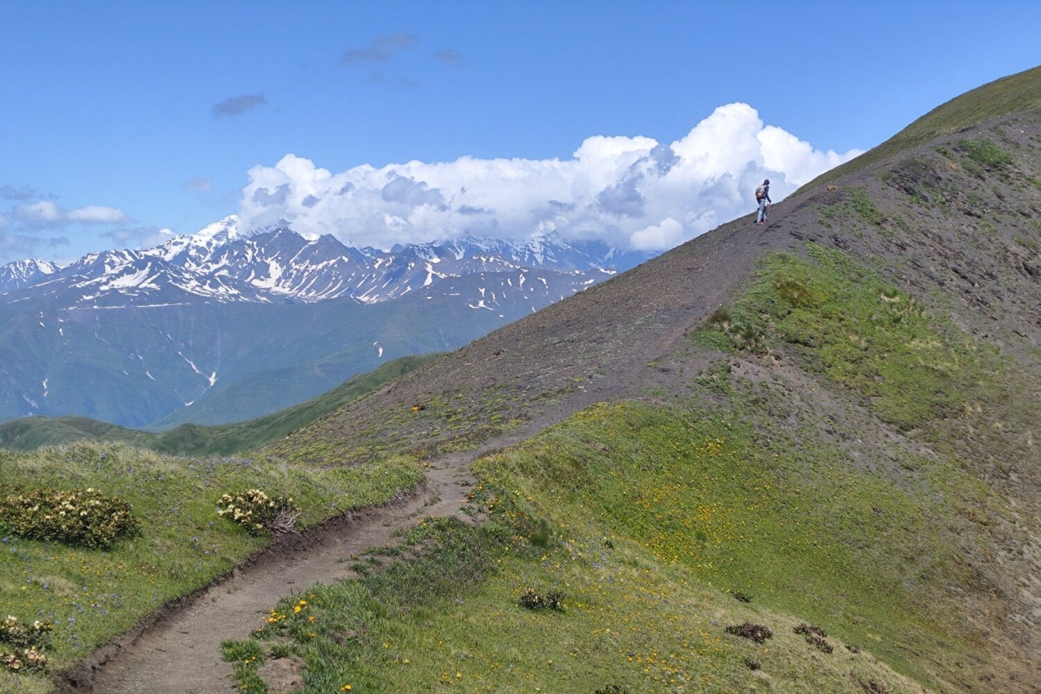 Gudani Pass - Wandern von Chewsuretien nach Omalo