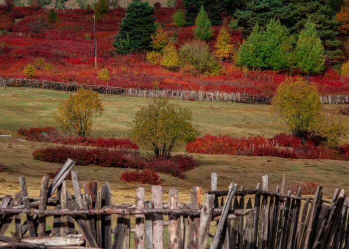 Photography Tour in Georgia