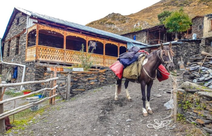 Ein Pferd in Tuschetien