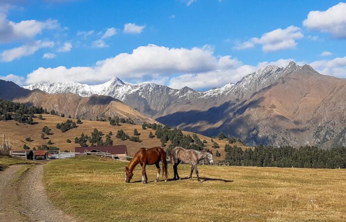 Am Dorf Diklo - Reiten Tuschetien