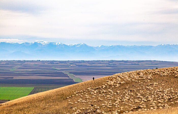 Blick auf Schiraki Ebene - Reittour Waschlowani