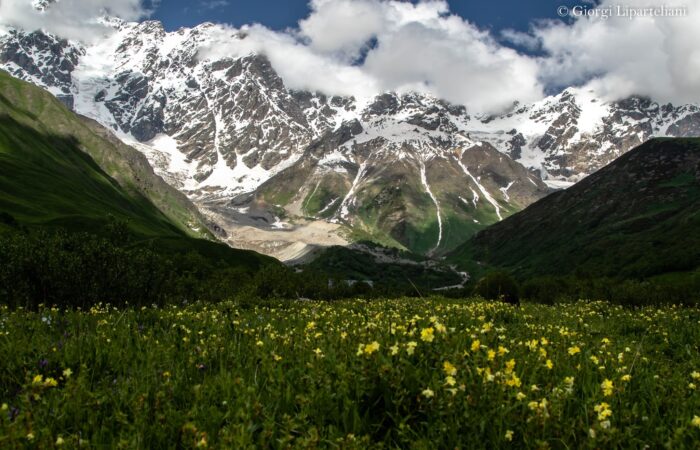 Shkhara Valley