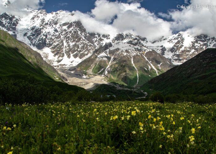 Shkhara Valley