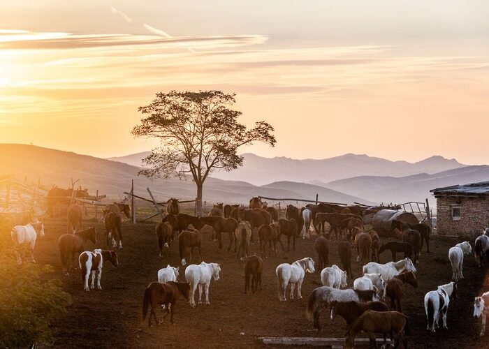 Vashlovani Horseback Tour - Sunrising
