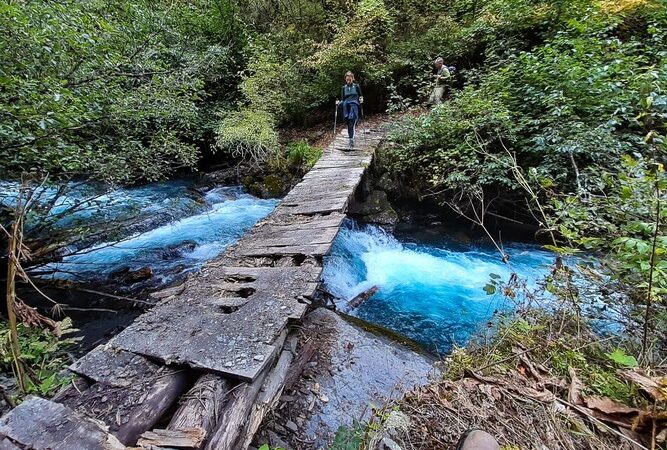 Ein Brücke in Tuscheti National Park