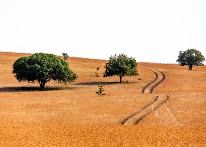 Vashlovani - Jeep Tour Georgia
