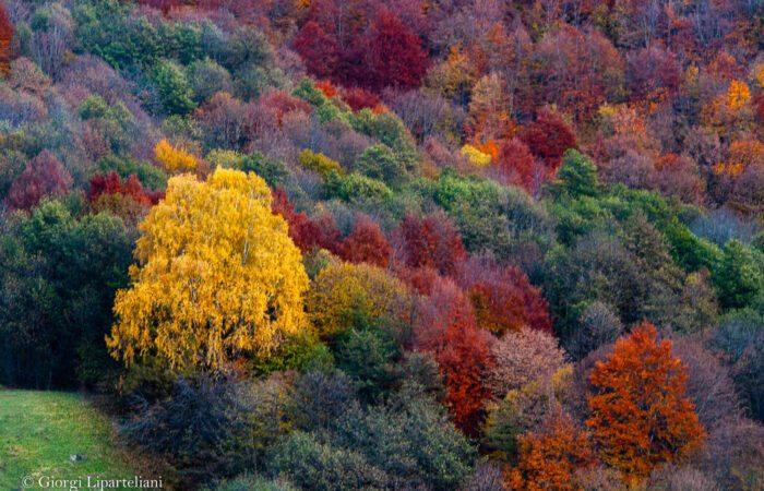 Savanetien - Fototour Georgien