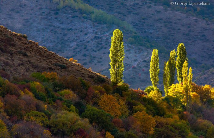 Herbst in Dschawachetien - Fototour Georgien