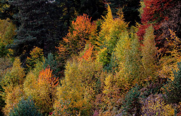 Herbst Swanetien - Fototour Georgien