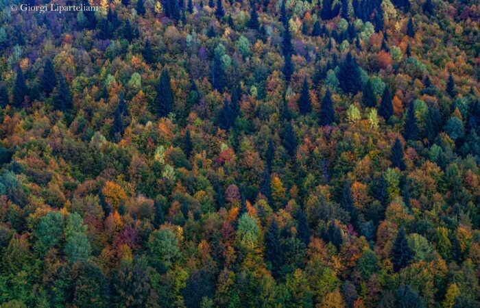 Herbsfarben Swanetien