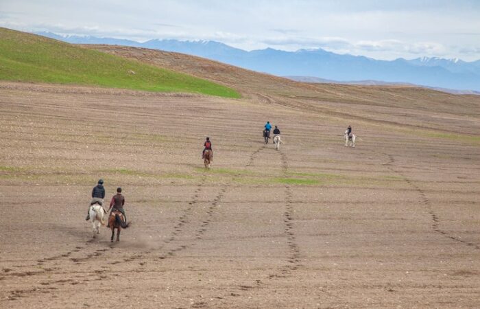 In the stepps - Horse Riding Holiday in Georgia