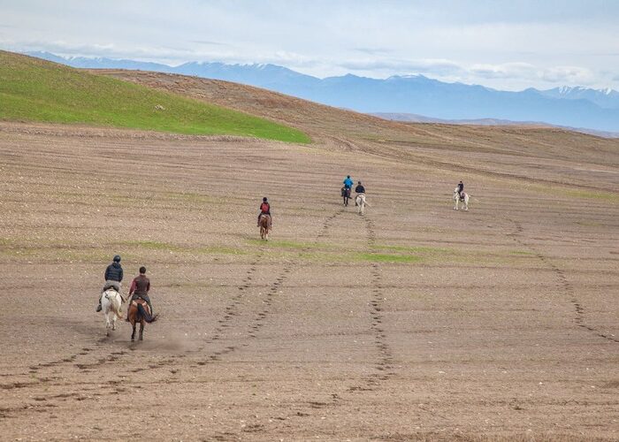 In the stepps - Horse Riding Holiday in Georgia
