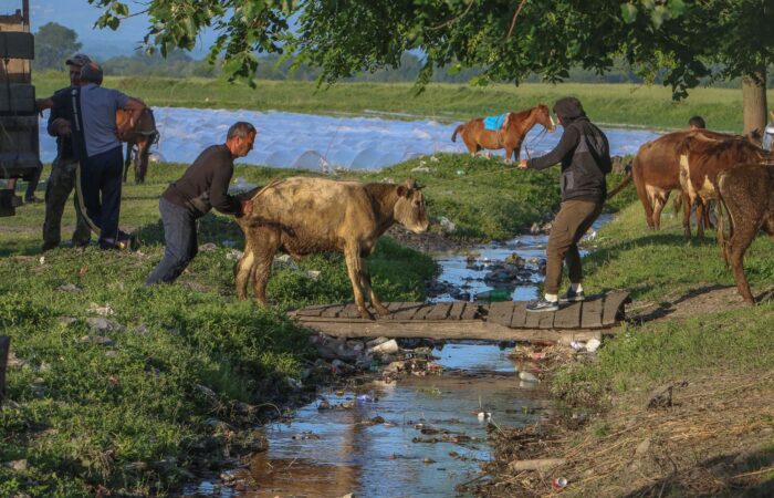 Photo Tour in Georgia