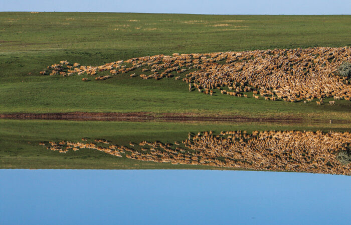 Ein See - Kurzreise Kachetien - Copy
