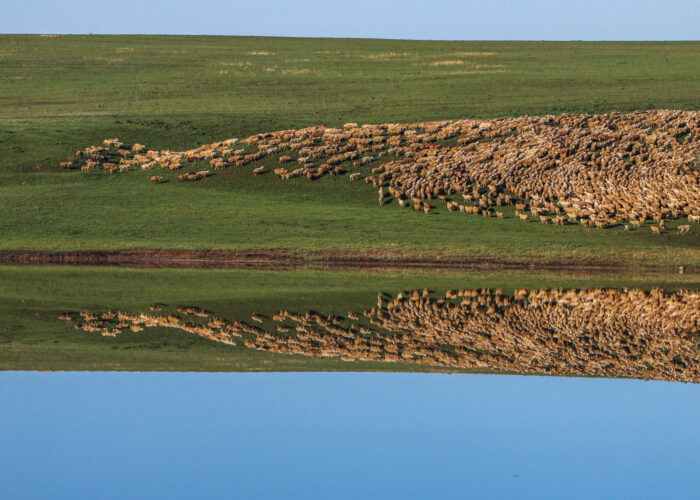 A lake in Gareji - Short Trip in Kakheti