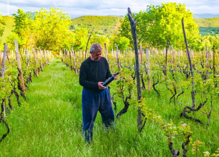 A farmer with a wine bottle on the wine tour in Georgia