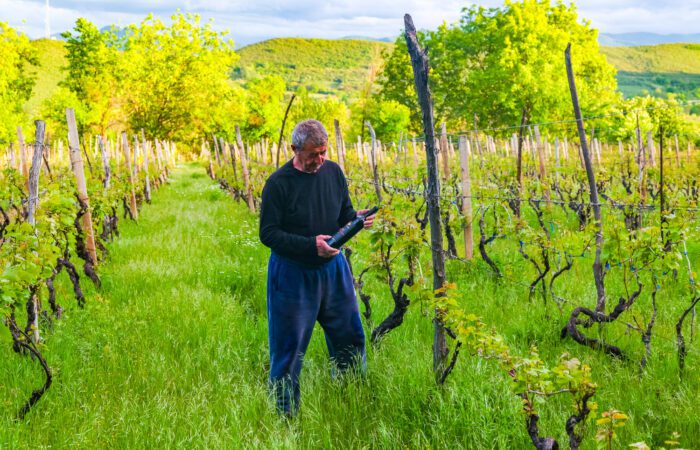 Ein Bauer im Weingarten