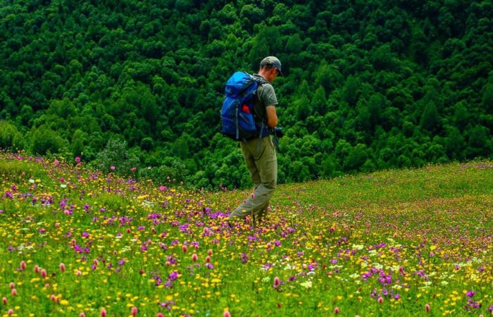A hiker on the flower meadow near Mestia