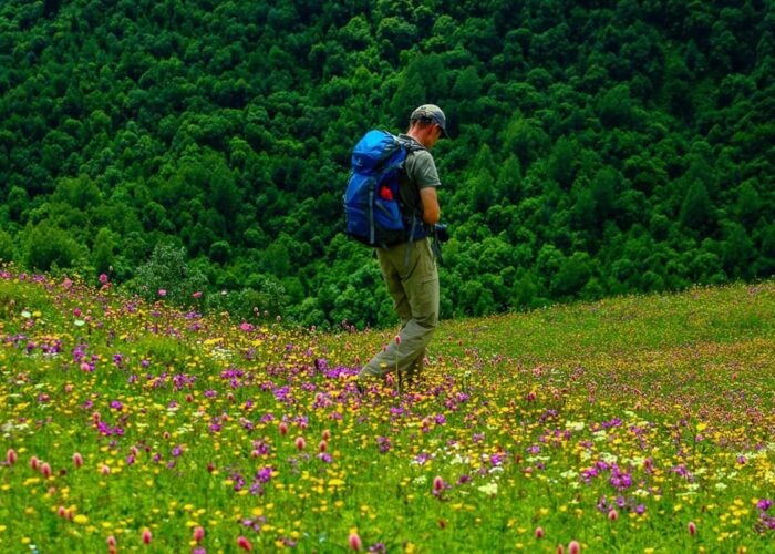 A hiker on the flower meadow near Mestia