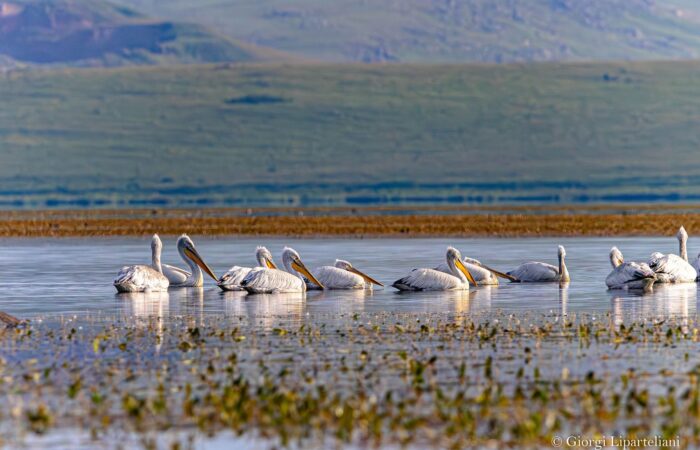 Javakheti National Park
