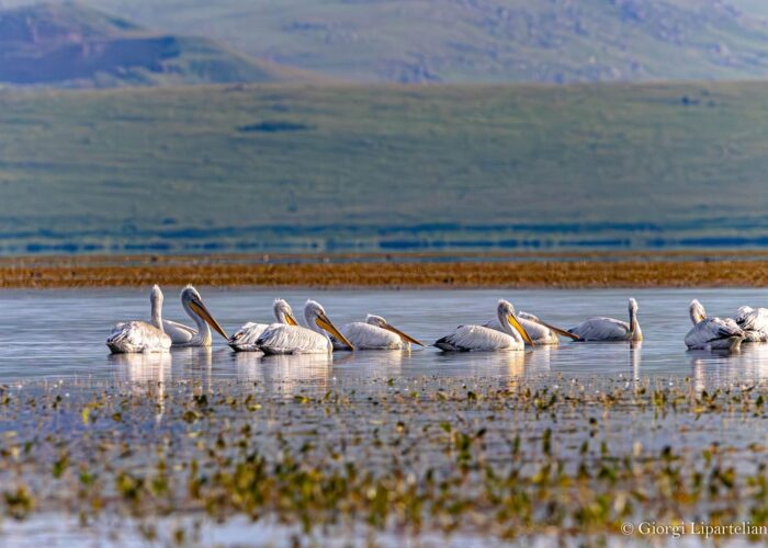 Javakheti National Park