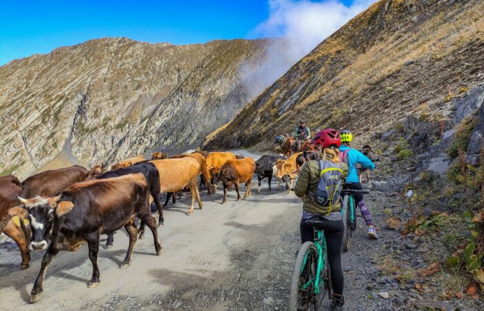 Auf dem Abano Pass - Radreise Tuschetien