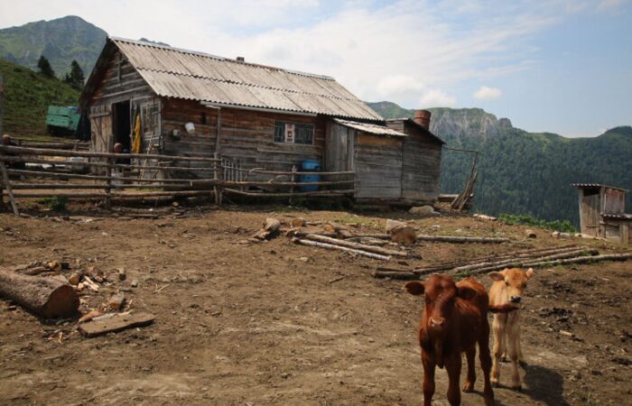 Zekari PAss - Radreise Georgien