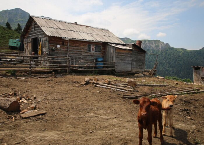 Zekari Pass - Bicycle Tour Georgia