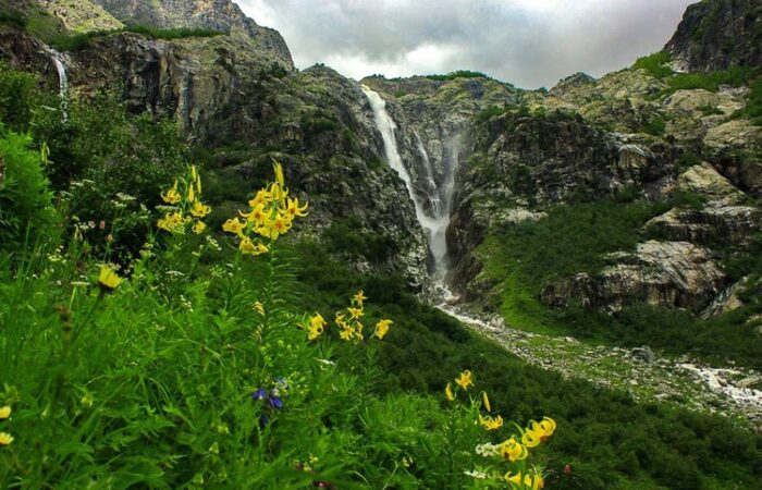 Mountain lilies at Shdugra Waterfall