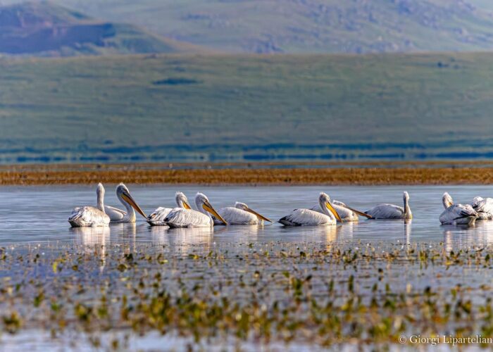 Javakheti NP - Round Trip in Georgia and Armenia