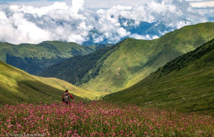 Bergwiese mit einem Wanderer
