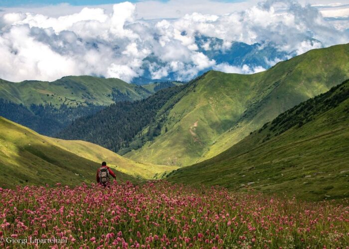 Mountain meadow with a hiker