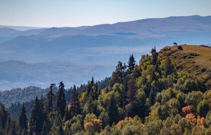 Landschaft