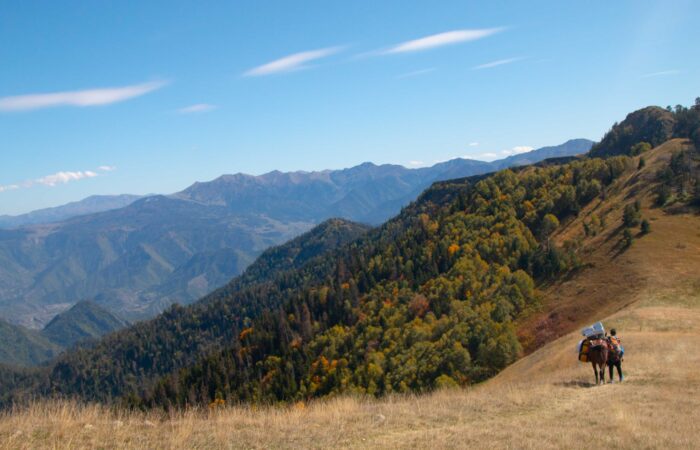 Landschaft im Bordschomi -Charagauli NP
