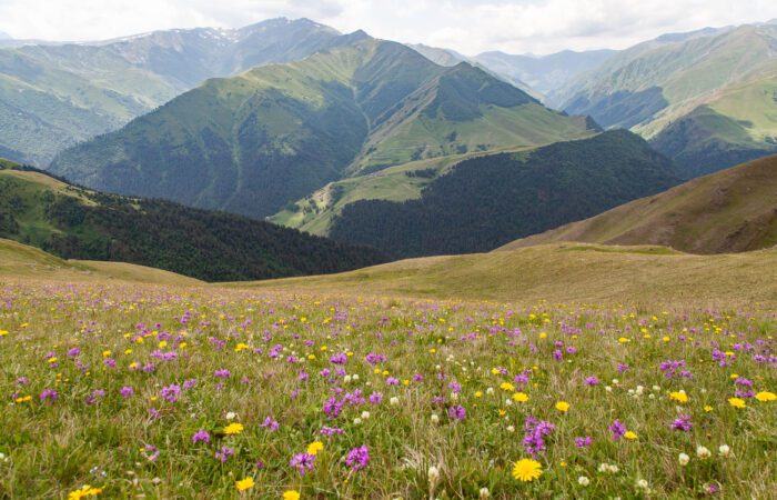 Makratela Pass - Wanderreisen in Georgien
