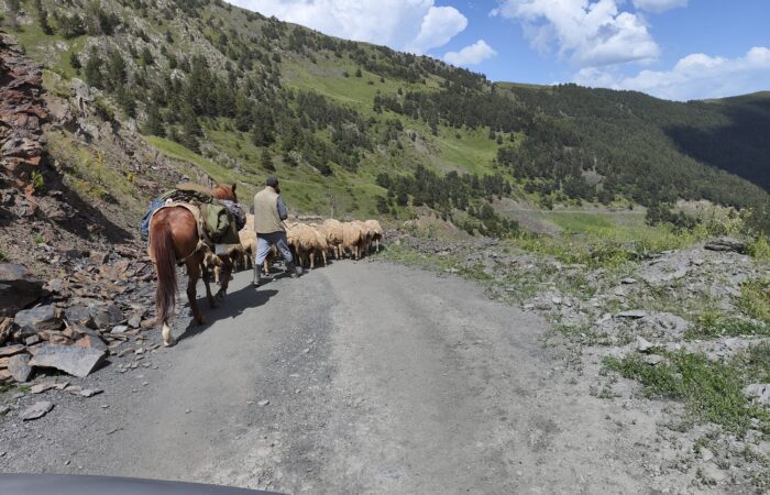 Wanderung in Tuschetien