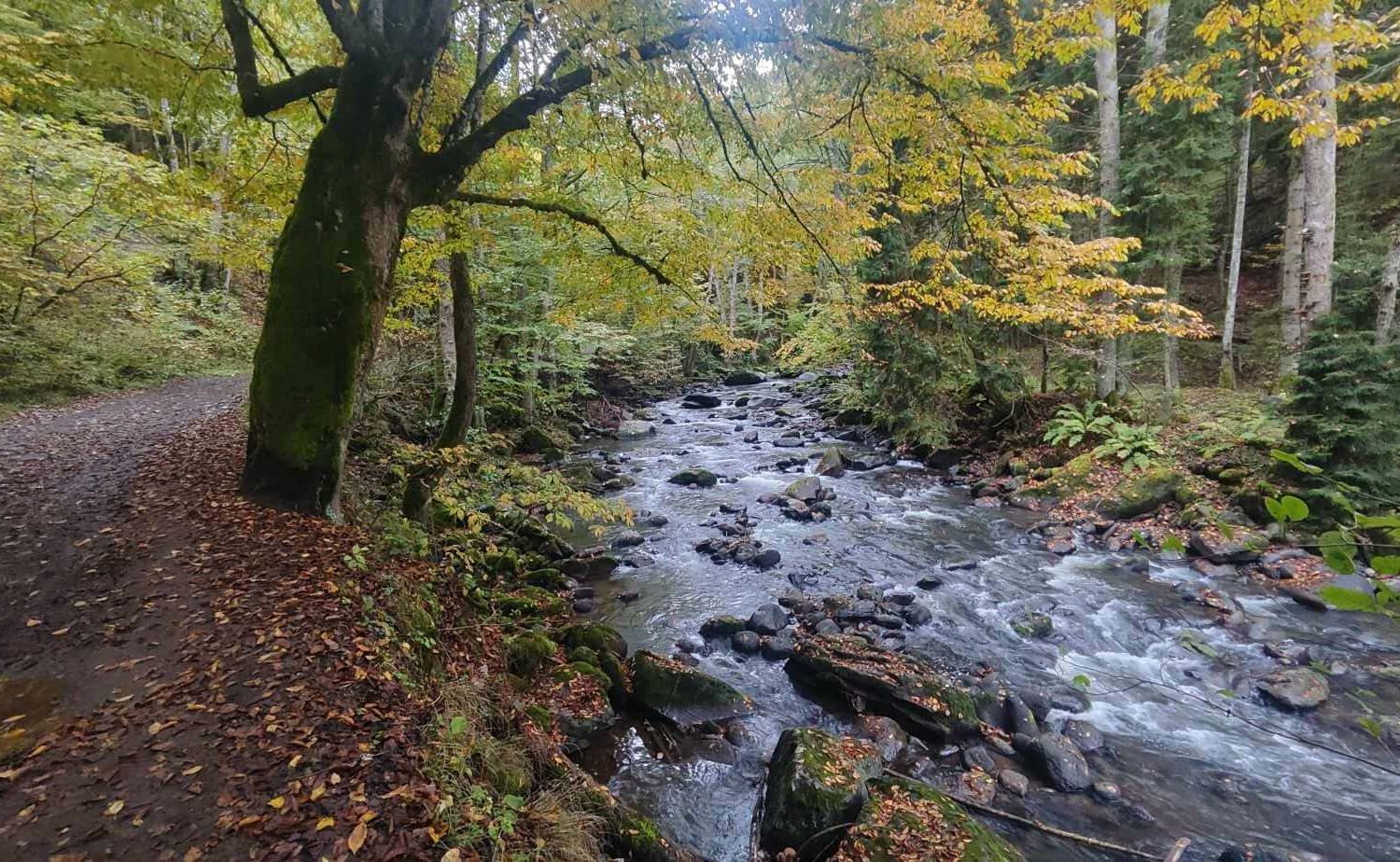 Der Weg zu den warmen Quellen in Bordschomi